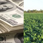 Dólar sojero: “Favorece a los mismos de siempre”