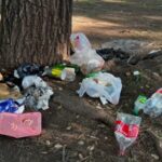 Adrián D’alessandro: “Hicieron fuego para el asado al pie de árboles centenarios”