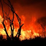 Siete acusados por los incendios en las islas fueron procesados