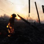 Humedales en disputa: todo se incendia y se va