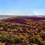 Isla de Los Mástiles: los incendios fueron intencionales según peritaje de bomberos