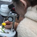 Rosario es sede de una feria de tecnología para todas las edades