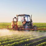 En pueblos de Santa Fe rodeados de agroquímicos, la probabilidad de contraer cáncer es 2,5 veces mayor a la media nacional