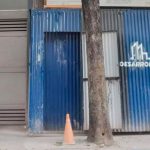 “Muerte de pie”: constructoras matan árboles para levantar edificios