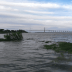 A pesar de la sequía en la región, el río Paraná alcanza su altura más alta del último año