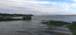 Lee más sobre el artículo A pesar de la sequía en la región, el río Paraná alcanza su altura más alta del último año