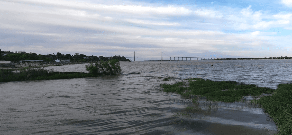 Lee más sobre el artículo A pesar de la sequía en la región, el río Paraná alcanza su altura más alta del último año