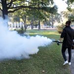 Dengue: “Tenemos un aumento de casos creciente que se duplican cada 48 hs”