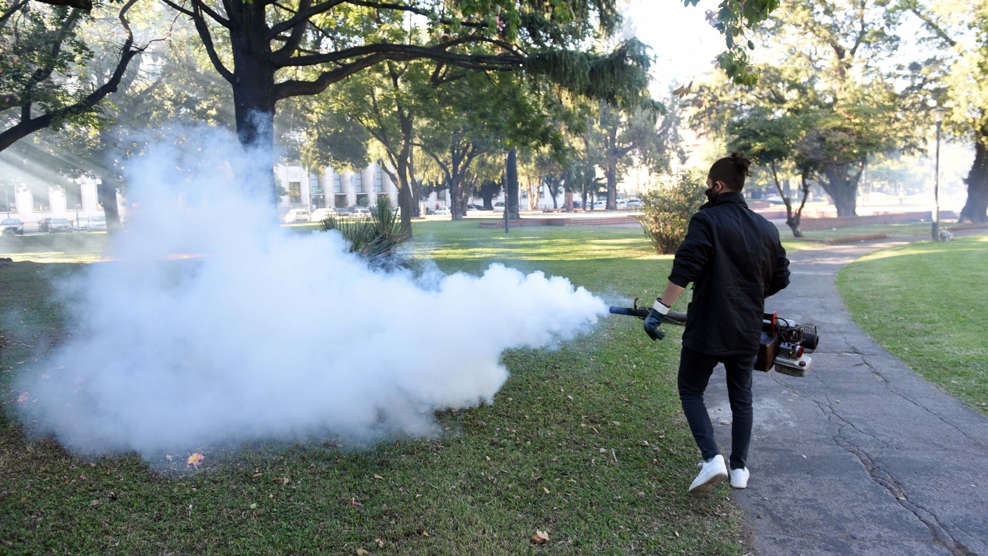 Lee más sobre el artículo Dengue: “Tenemos un aumento de casos creciente que se duplican cada 48 hs”