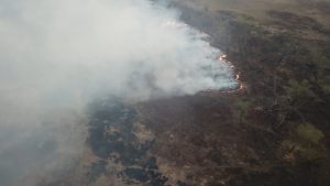 Lee más sobre el artículo La UNR presenta “Las Huellas del Fuego”, un documental sobre las quemas de las islas
