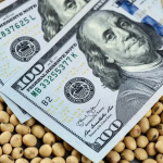 El gobierno nacional implementa el nuevo dólar agro para acumular divisas
