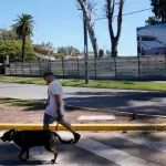 Parque Independencia: vecinos rechazan la construcción del McDonald’s