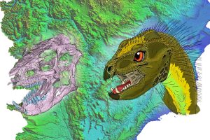 Lee más sobre el artículo ¿Cómo se veía la cabeza de un dinosaurio del tamaño de una gallina que vivió en Chubut?