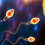 La salud reproductiva del varón será el eje del Congreso Argentino de Andrología 2023