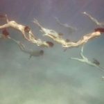 “Pieles migran ríos”: una propuesta en torno al pluriverso femenino