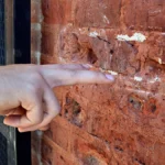 Aumento del ausentismo escolar por violencia: más de 50 escuelas afectadas