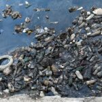 Amparo judicial contra Aguas Santafesinas avanza más lento que la contaminación