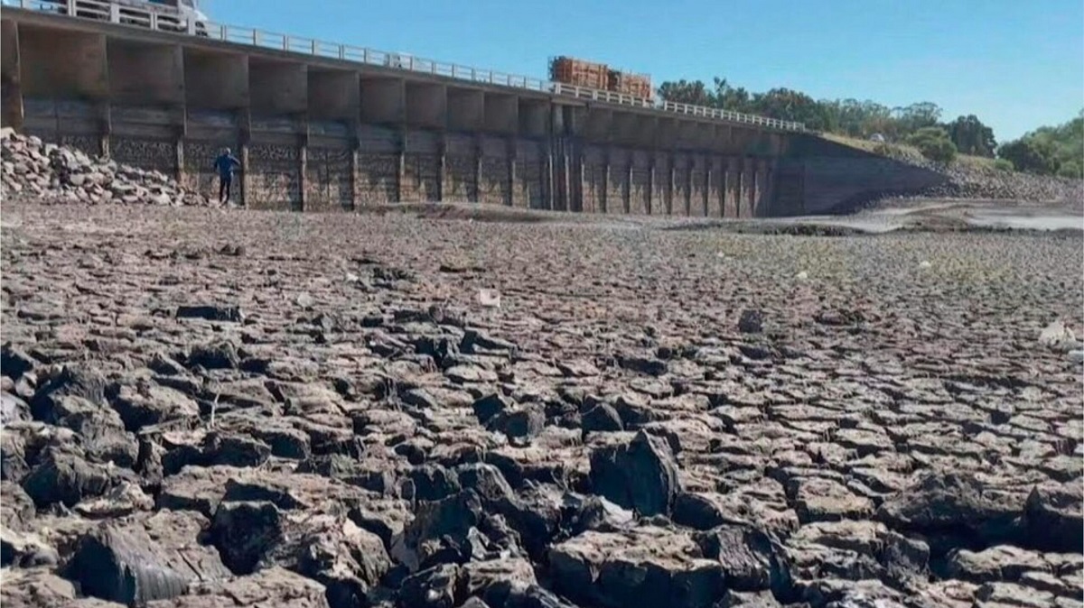 Lee más sobre el artículo “Si siguen dando esta porquería que la gente toma, el nivel del agua se va a recuperar”