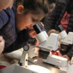Una feria de arte, ciencia y tecnología gratis para jugar y aprender