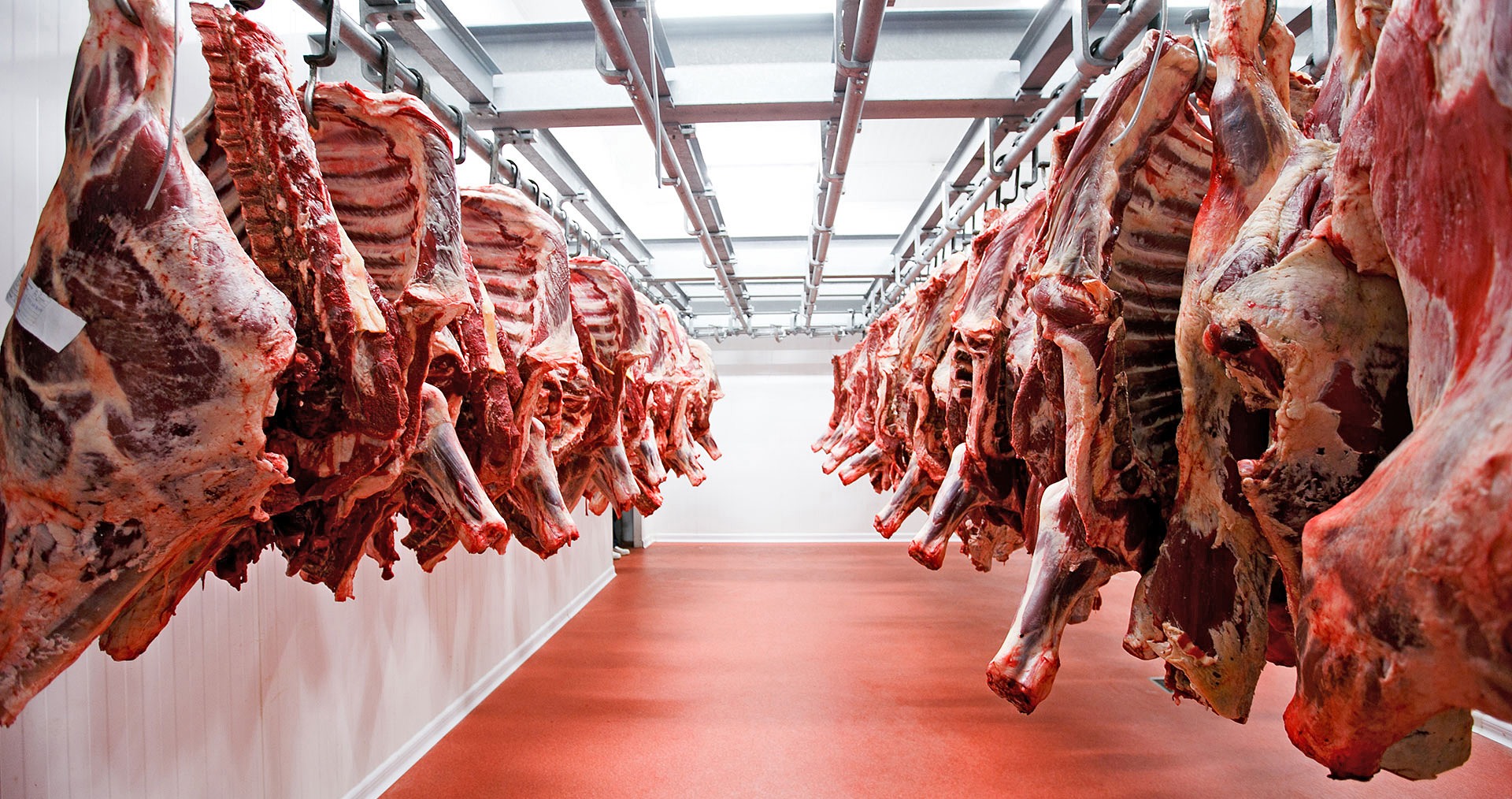 Lee más sobre el artículo Carne vacuna: la sequía obligó a vender apurado y faltarán dos millones de toneladas