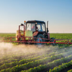 El combo de las malas prácticas productivas: fumigación, amenazas y maltrato animal