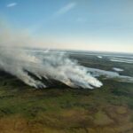 Juzgados específicos para trabajar en el delito ambiental y perseguir el ecocidio