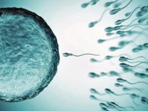 Lee más sobre el artículo Rosarinos “preparan” espermatozoides para aumentar el éxito en técnicas de reproducción