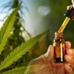 Santa Fe Inaugura consultorios de Cannabis medicinal: Un avance en el acceso a la terapia