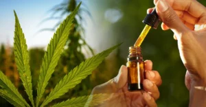 Lee más sobre el artículo Santa Fe Inaugura consultorios de Cannabis medicinal: Un avance en el acceso a la terapia