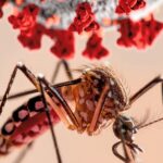 Preocupa que el dengue mute de enfermedad epidémica a endémica en la Argentina