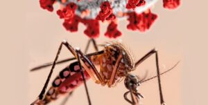 Lee más sobre el artículo Preocupa que el dengue mute de enfermedad epidémica a endémica en la Argentina