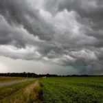 Las lluvias llevaron alivio al campo santafesino tras una larga sequía