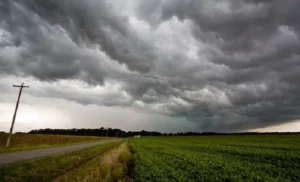 Lee más sobre el artículo Las lluvias llevaron alivio al campo santafesino tras una larga sequía