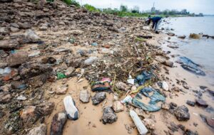 Lee más sobre el artículo Octava jornada de “Más Río, Menos Basura”, limpieza de la costa del Paraná
