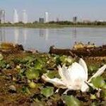 Ministerio de Ambiente: coordinar lo público y lo privado con énfasis en la prevención