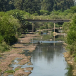 Contaminación: abordaje exhaustivo de los análisis sobre el curso del arroyo Ludueña