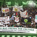 Marihuana: nueva marcha por la despenalización, contra una ley y un paradigma obsoletos
