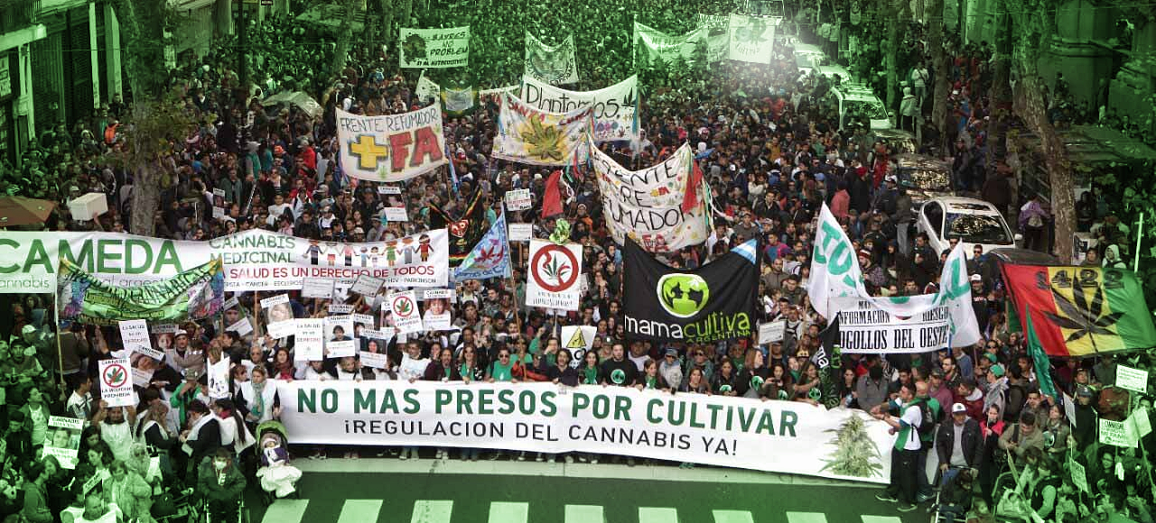 Lee más sobre el artículo Marihuana: nueva marcha por la despenalización, contra una ley y un paradigma obsoletos