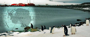 Lee más sobre el artículo Petróleo en la Antártida: especialista desactiva alarmas ambientales y geopolíticas