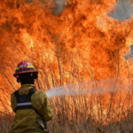 Fuego en las islas: “Sabíamos que por la bajante del río podían darse estas situaciones”, afirmó Escajadillo