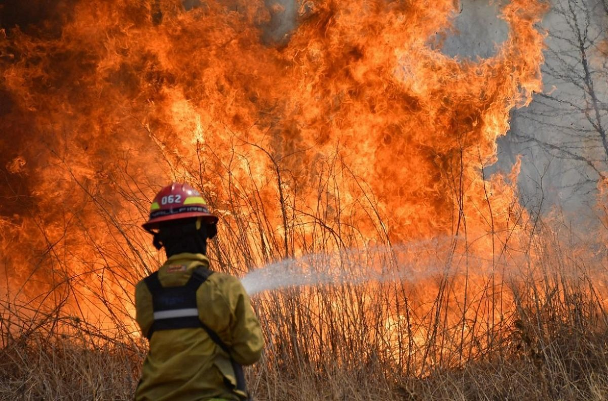 Lee más sobre el artículo Fuego en las islas: “Sabíamos que por la bajante del río podían darse estas situaciones”, afirmó Escajadillo