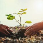 Un proyecto educativo posibilita reforestar Fray Luis Beltrán