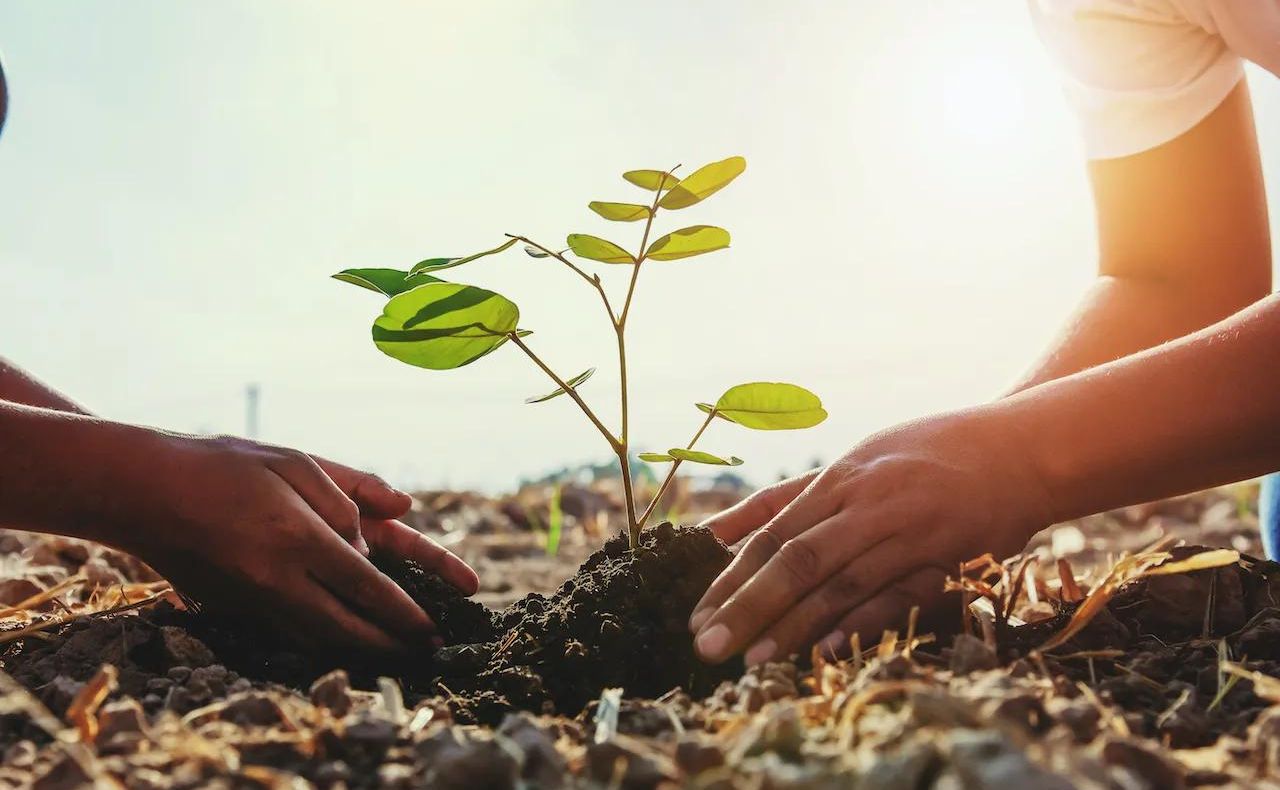 Lee más sobre el artículo Un proyecto educativo posibilita reforestar Fray Luis Beltrán