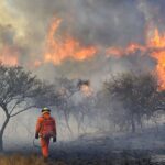 Andrés Napoli: “No podemos aumentar el presupuesto ambiental cuando el incendio arranca”