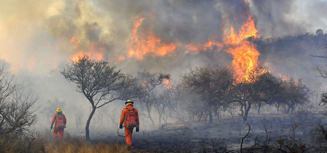 Lee más sobre el artículo Andrés Napoli: “No podemos aumentar el presupuesto ambiental cuando el incendio arranca”