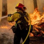Brigadistas en acción: Cómo se lucha contra los incendios desde adentro