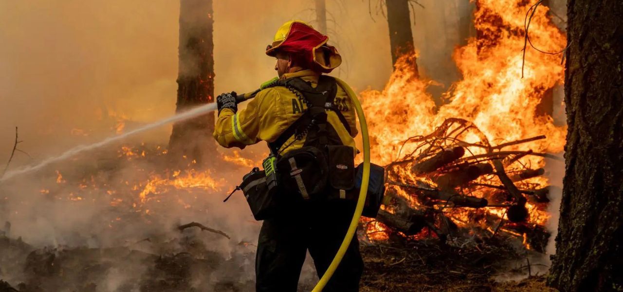 Lee más sobre el artículo Brigadistas en acción: Cómo se lucha contra los incendios desde adentro