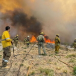 Córdoba en llamas: exigen declarar la emergencia nacional ante incendios descontrolados