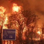 Incendios en Córdoba: “Nunca jamás había sucedido algo así, nos deja al borde de la fragilidad”