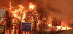 Lee más sobre el artículo Incendios en Córdoba: “Nunca jamás había sucedido algo así, nos deja al borde de la fragilidad”